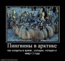 Фотография Александр Александров