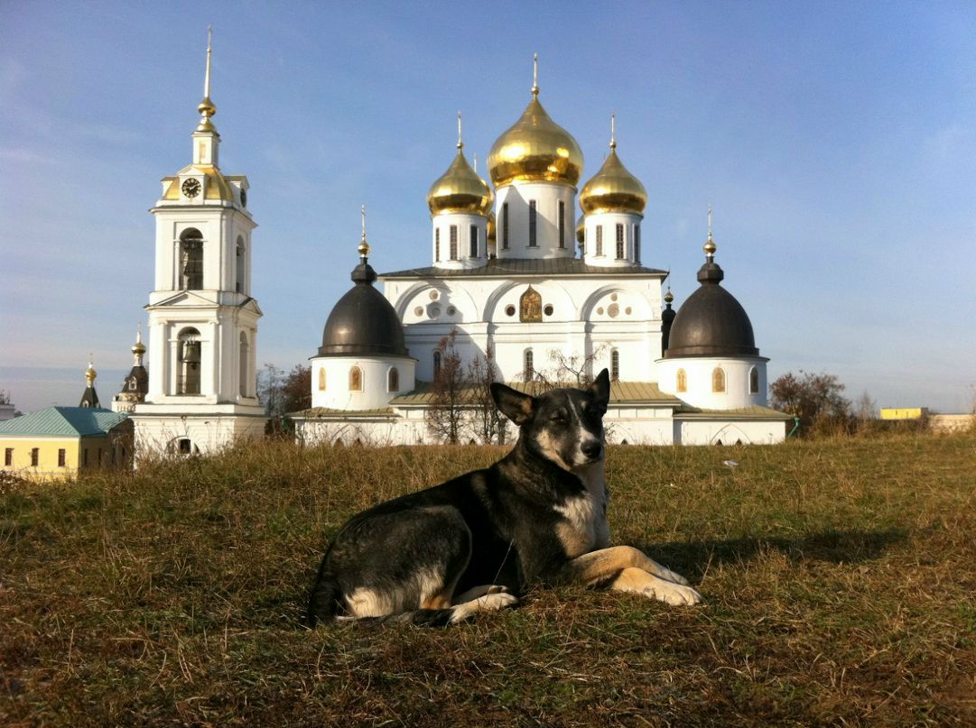 Александр Коваль | Москва