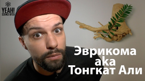 Эврикома aka Тонгкат Али для спорта и