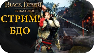 СЕЗОННЫЙ ПЕРС НА СЕЗОНОМ СЕРВЕРЕ! |Black Desert Remastered #31