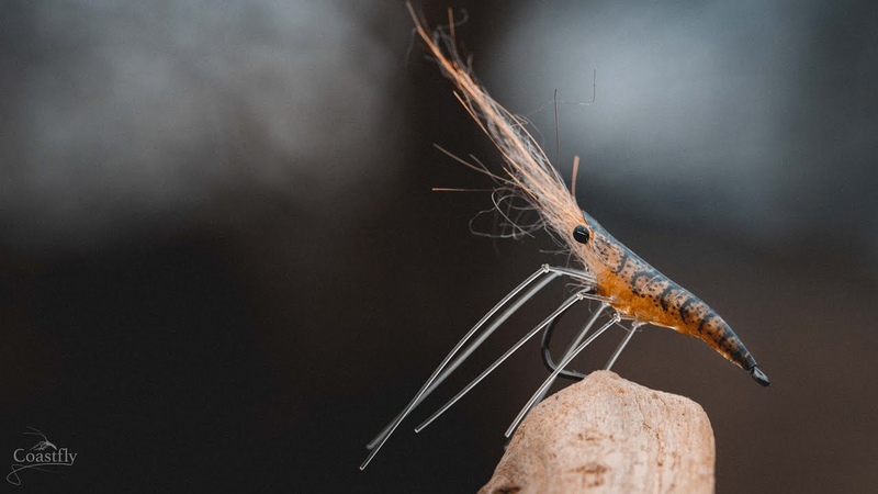 FLY TYING The Glass SHRIMP