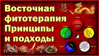 Восточная фитотерапия.  Принципы и подходы.