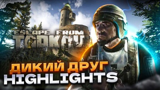 ДИКИЙ ДРУГ | ESCAPE FROM TARKOV | HIGHLIGHTS # 11 | ПРИКОЛЫ #тарков #escapefromtarkov @igrotronik