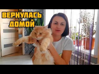 РМЖ 1 СТАДИЯ.  ВЕРНУЛАСЬ ДОМОЙ ПОСЛЕ ОПЕРАЦИИ.  СОСКУЧИЛАСЬ