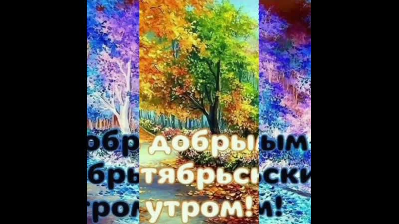 VID_21520514_180645_355.mp4