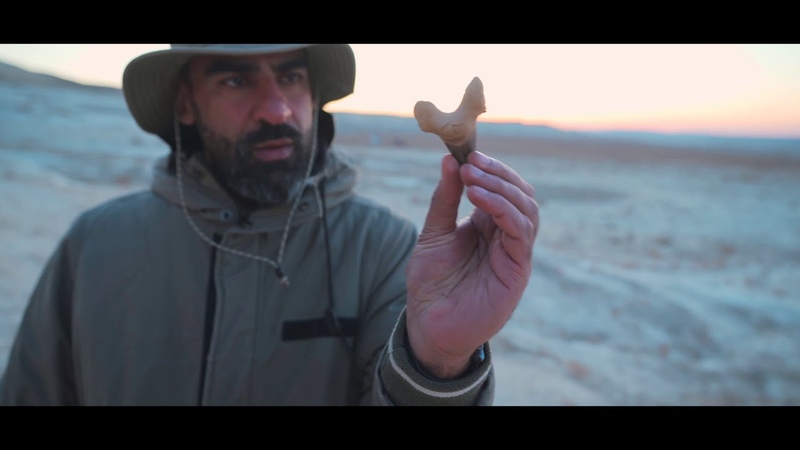Paleontology tour in Mangystau,