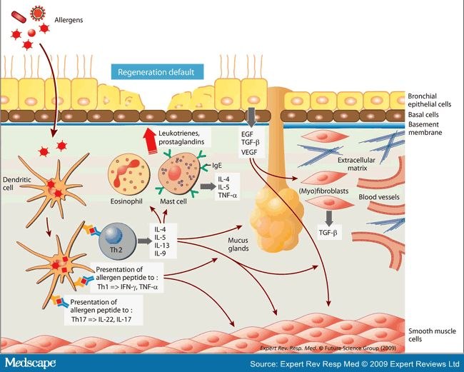 Илья Гаврилов | Кострома