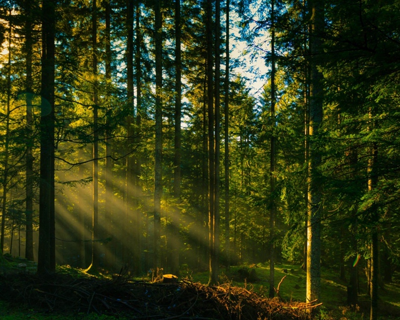 Елена Уханова | Апатиты