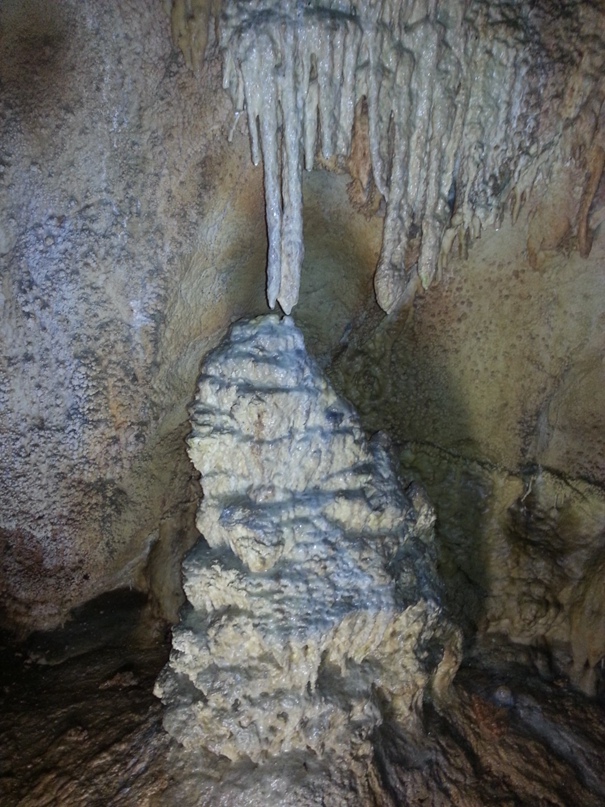 Игорь Дятлов | Евпатория