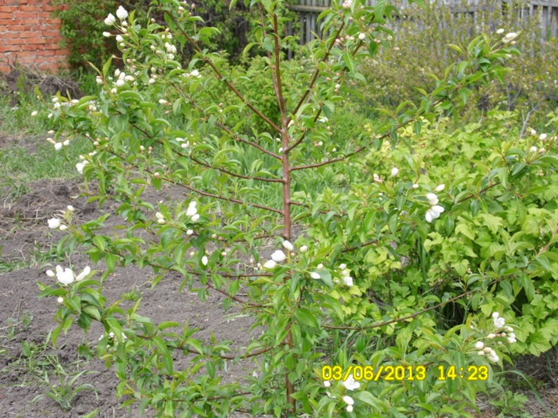 Юрий Сурков | Искитим