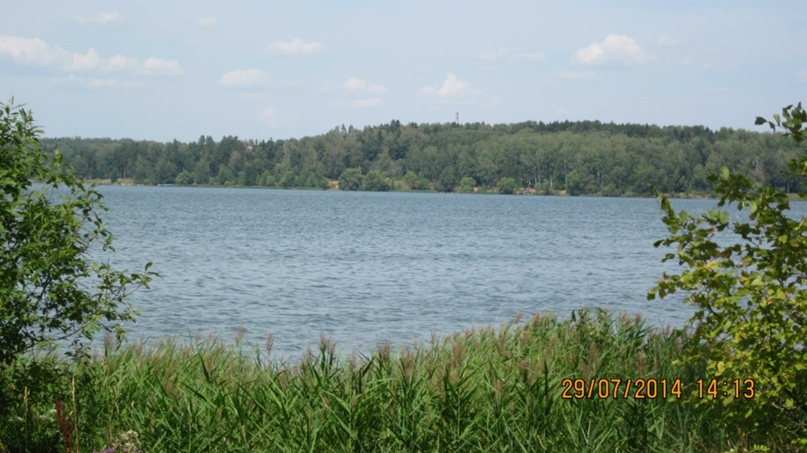 Иришка Степанова | Москва