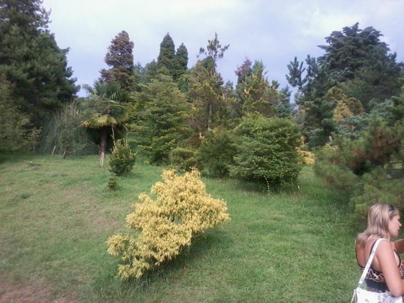 Елена Игнатова игнатова | Гомель