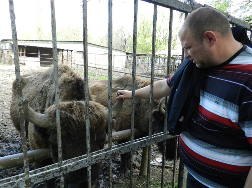 Александр Мирошниченко | Ростов-на-Дону