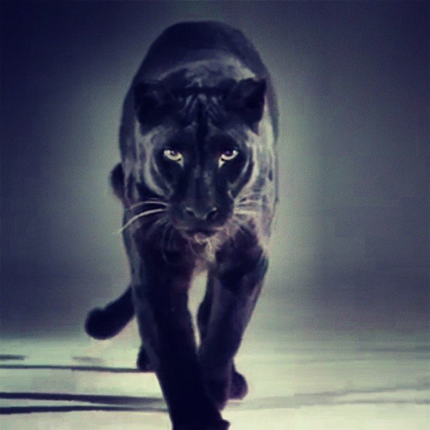 Роман Макаров | Санкт-Петербург