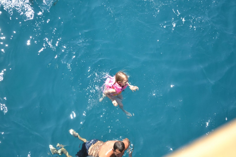 Дмитрий Губарев Александрович | Череповец