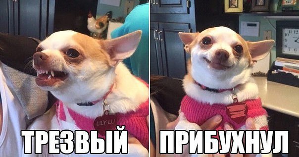 Сидор Иванов | Москва