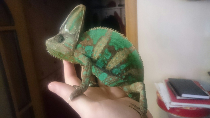 Игорь Трубчанинов | Щелково