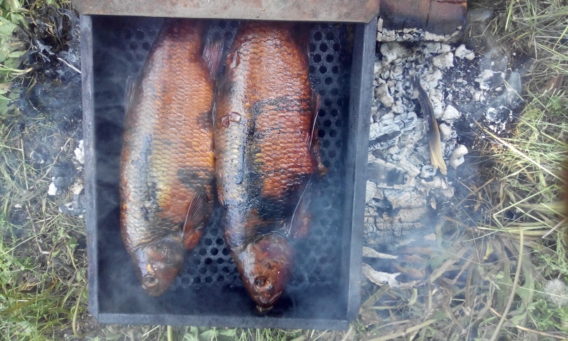 Иван Березовский | Томск