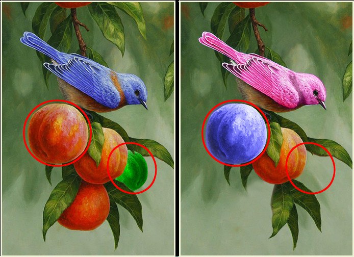 Светлана Плахова | Нижний Новгород