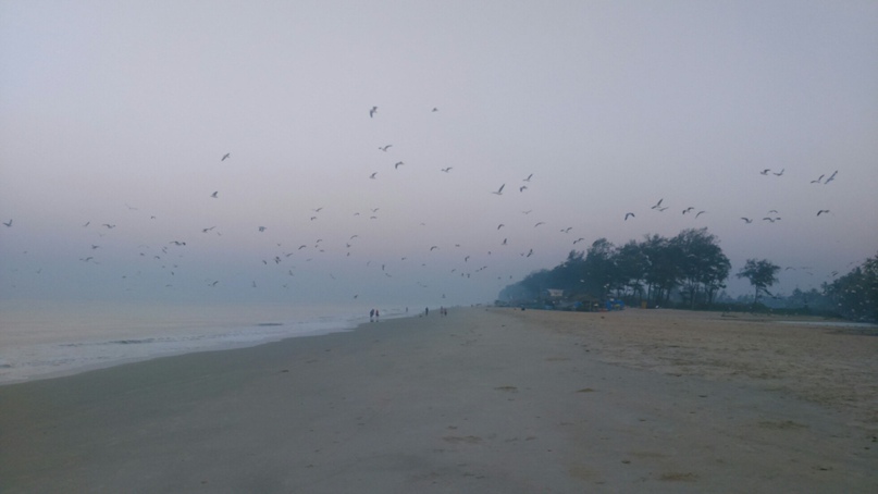 Денис Кольцов <БАРМОЛЕЙ> | Москва