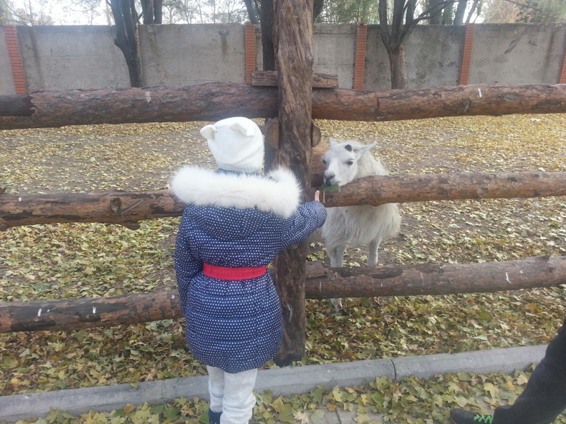 Виктория Пашкова | Макеевка