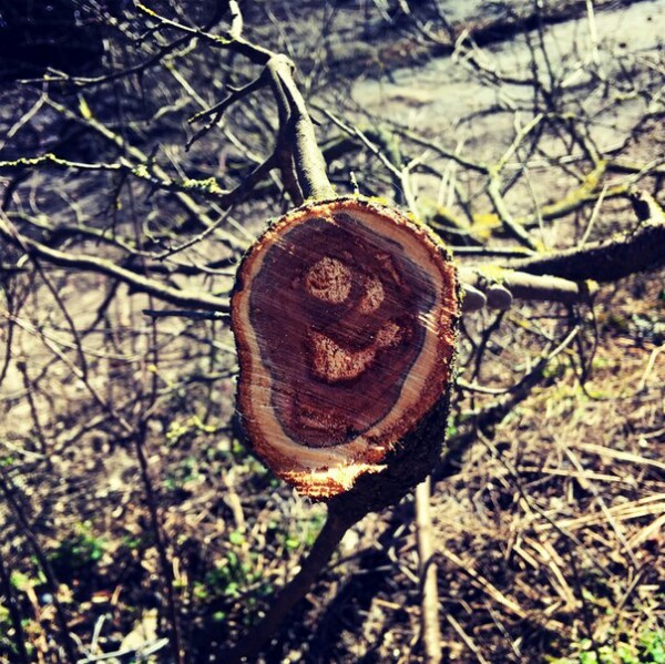 Александр Зотов | Воронеж