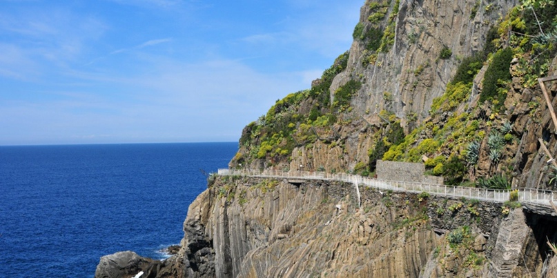 Надежда Гаврилова