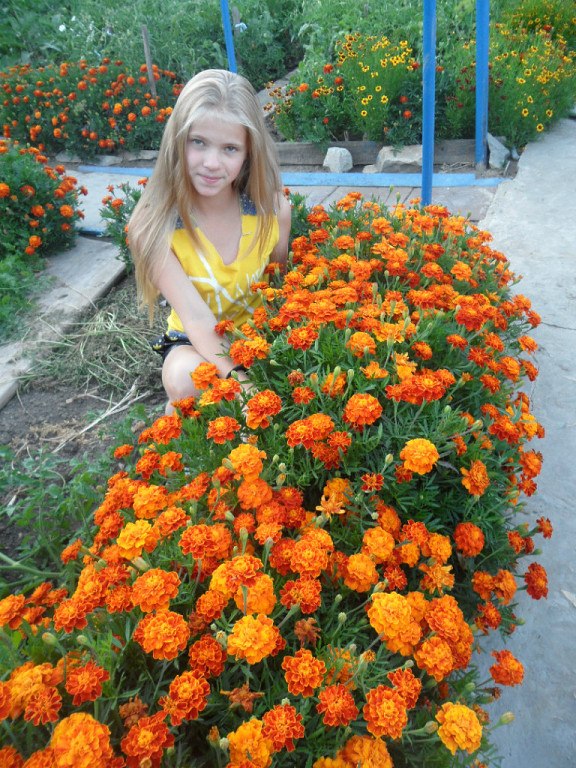 Дарья Костина | Саратов