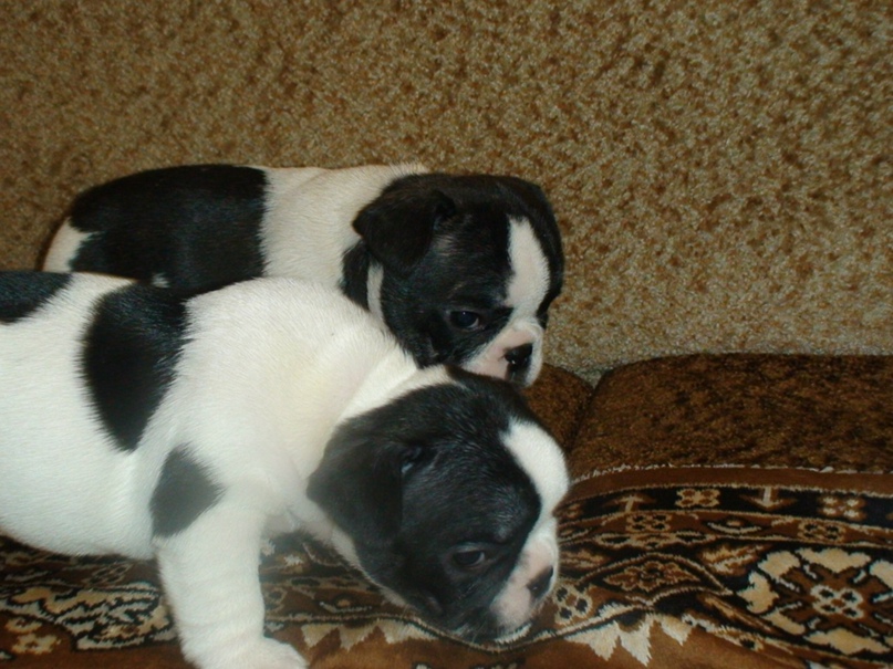 Сергей Иващенко | Киев