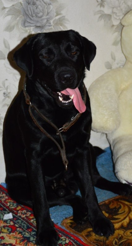 Светлана Зарубина | Азанка