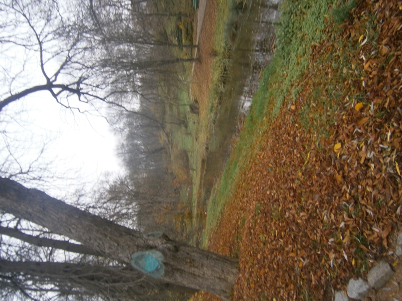 Артем Карапетян | Одесса