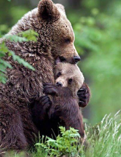 Дмитрий Телегин | Челябинск