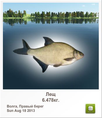 Петр Мартынов | Киверцы