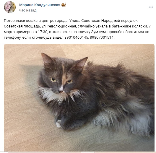 Пост добра. Потерялись / нашлись животные. Лайк...