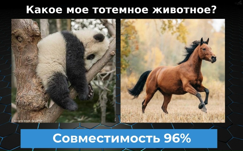 Елена Еленкина | Кандалакша