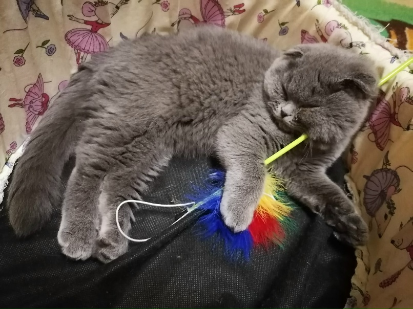 Алёна Дятлова | Рязань