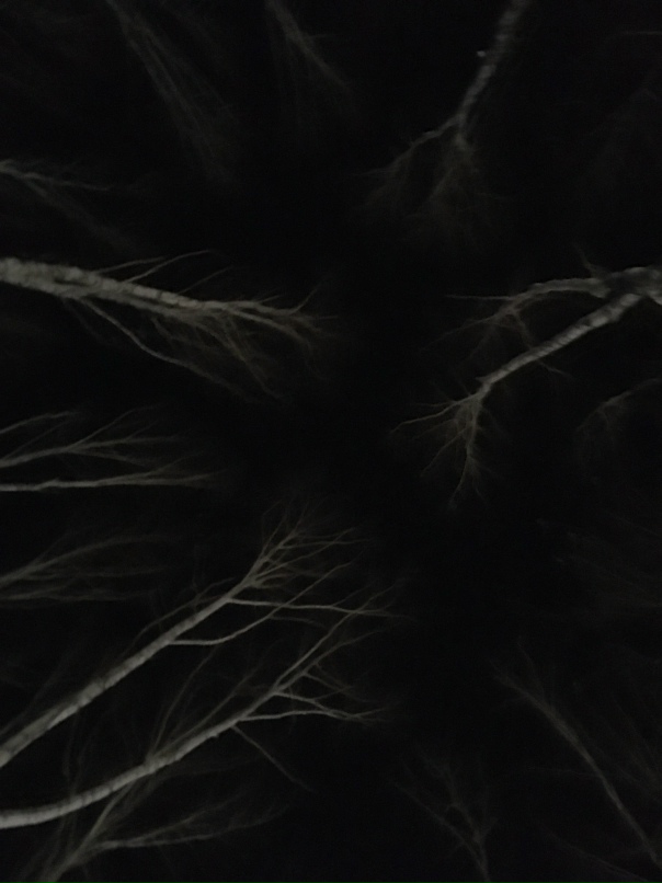 Ян Гареев | Тюмень