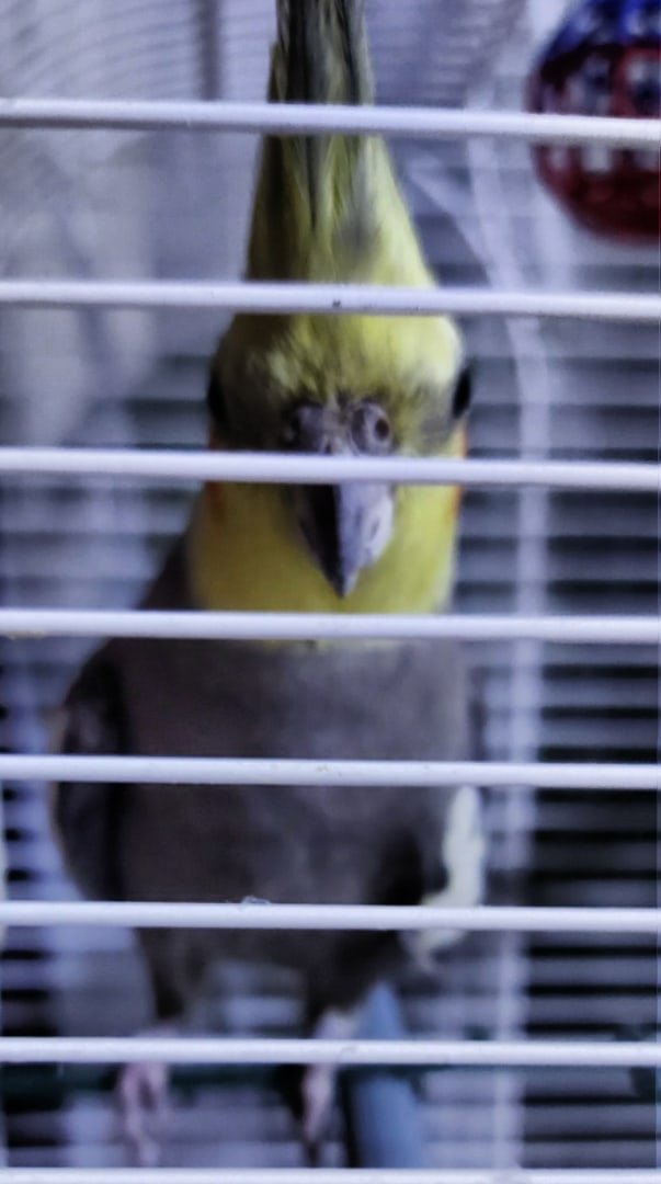 Дмитрий Хромов | Москва