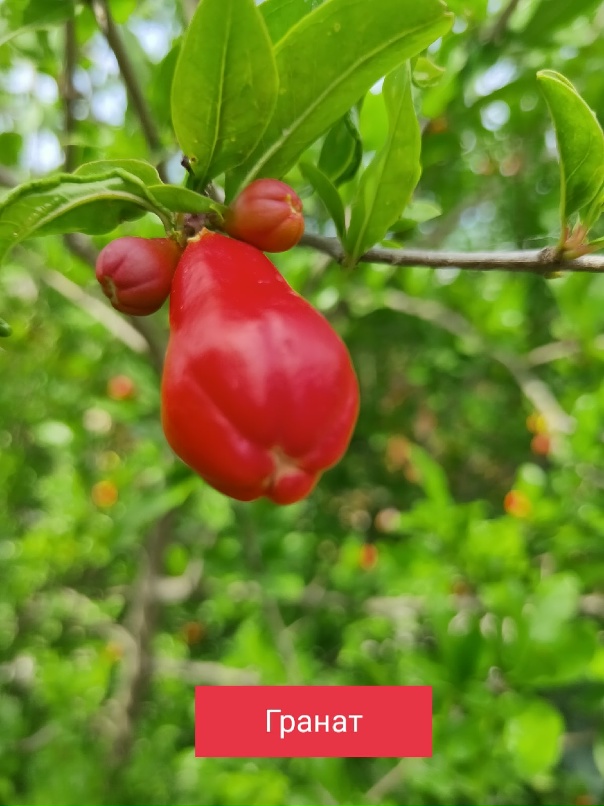 Татьяна Бартова | Алексин