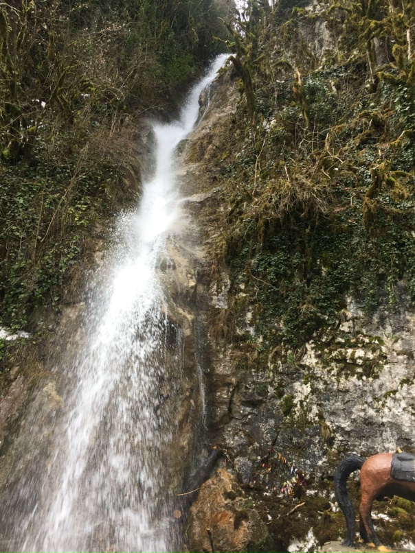 Ирина Парамонова | Новосибирск