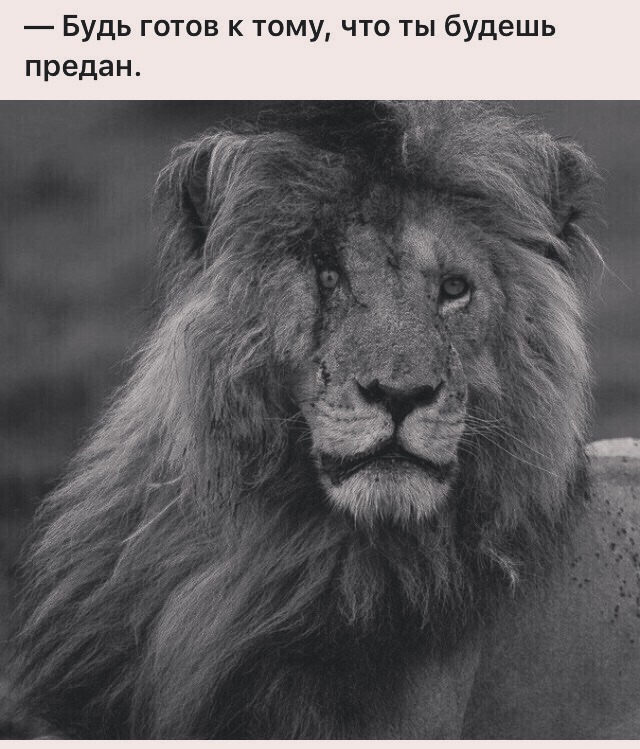 Антон Анохин | Сочи