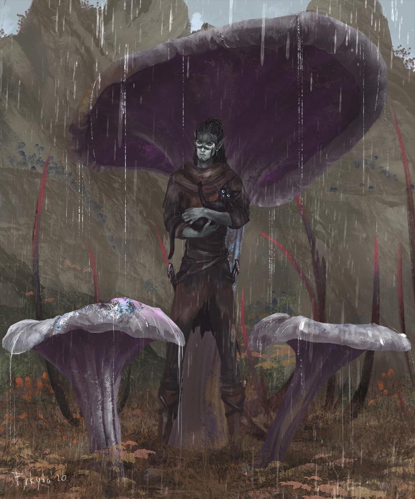 Tes Morrowind арт