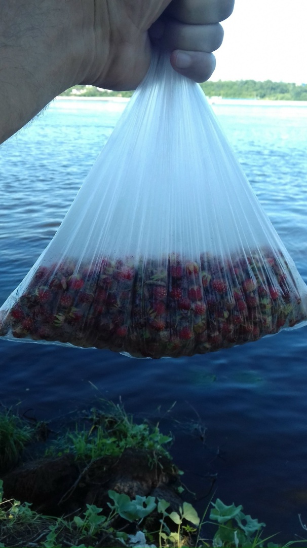 Александр Власов | Заволжье