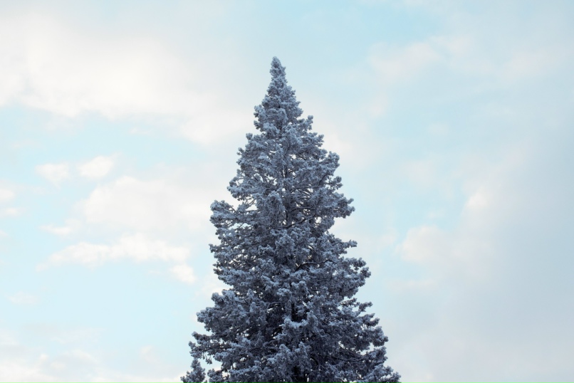 Владислав Василенко | Щелково