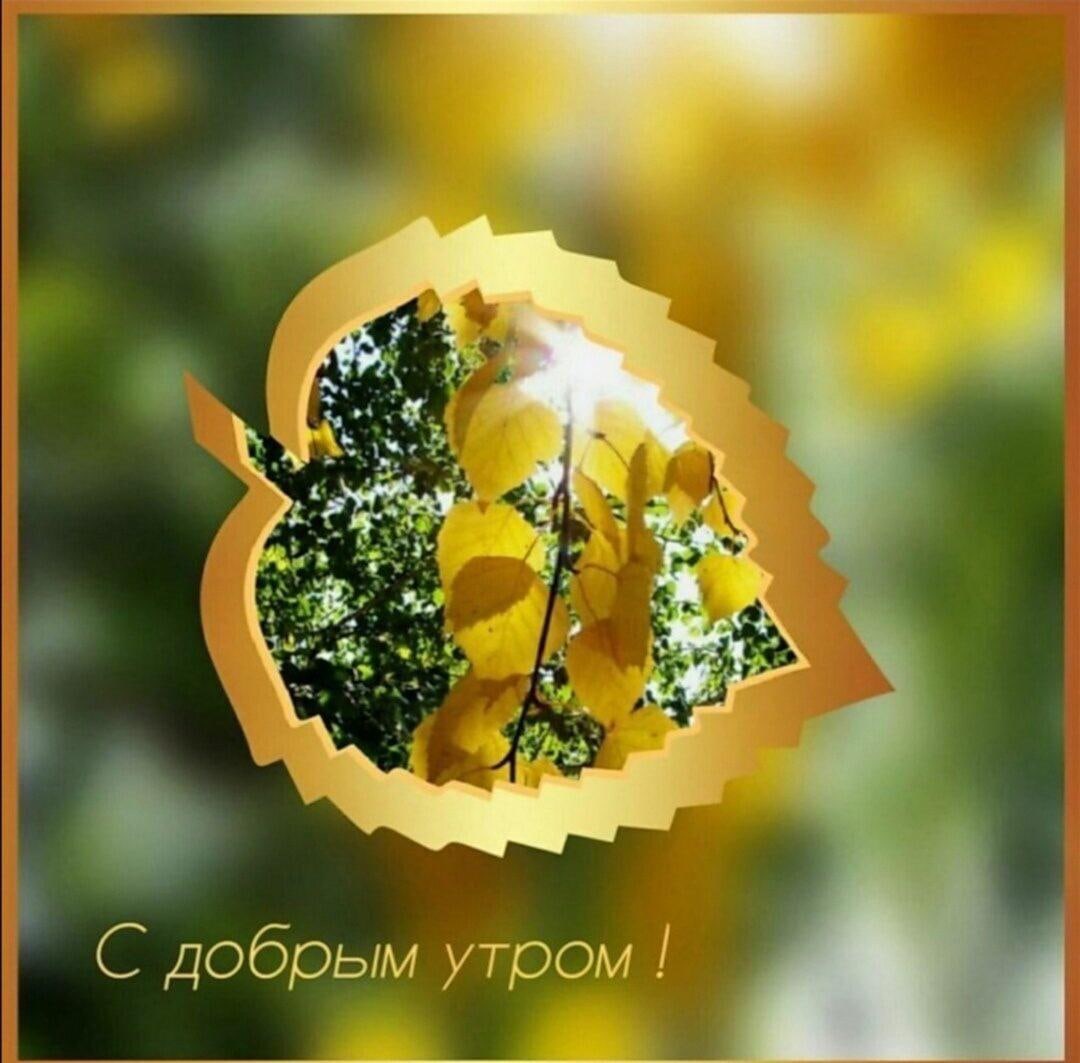 Доброе солнечное утро хорошего дня