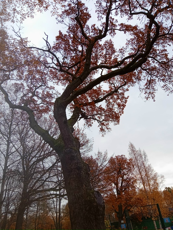 Татьяна Осипова ☜♡☞ | Санкт-Петербург