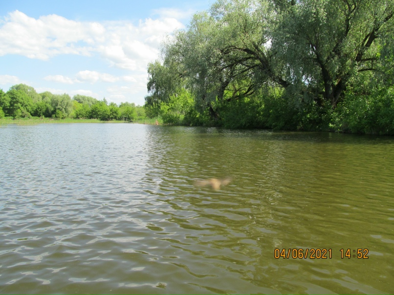 Данила Григорьев | Калуга (деревня)