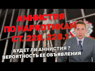 Амнистия по наркотикам. Статьи 228, 228.1, 229.1 УК РФ. Будет ли амнистия по наркостатьям?