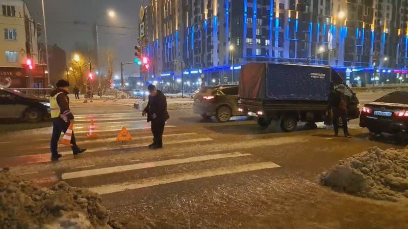 Фургон снёс на зебре мать с