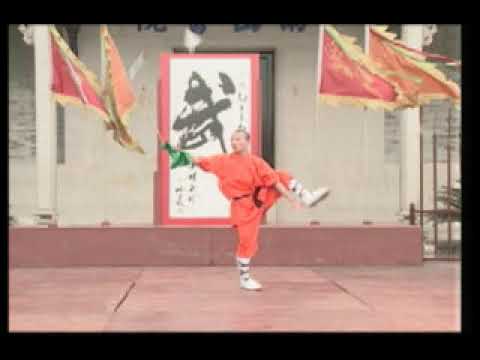 Double Shaolin 9 Section